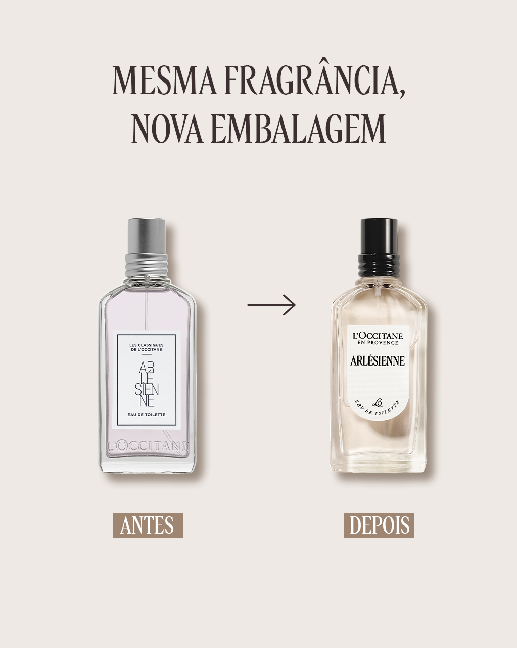 Eau de Toilette Arlésienne 50mL | L'Occitane en Provence